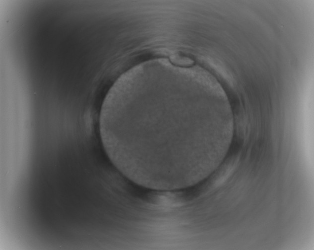 X0000101480229200807281046