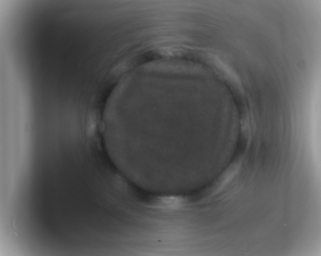 X0000101480233200807281046