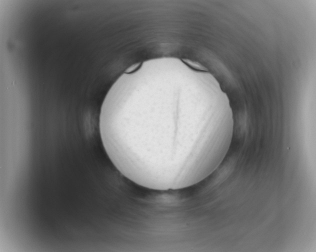 X0000101480236200807281046