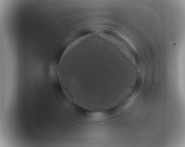 X0000101480237200807281046