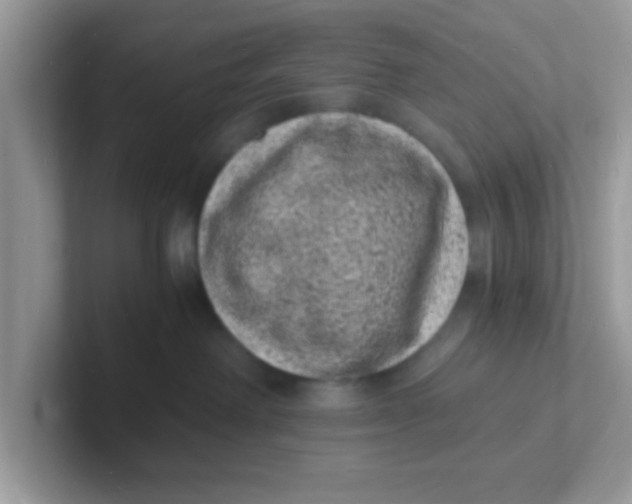 X0000101480238200807281046