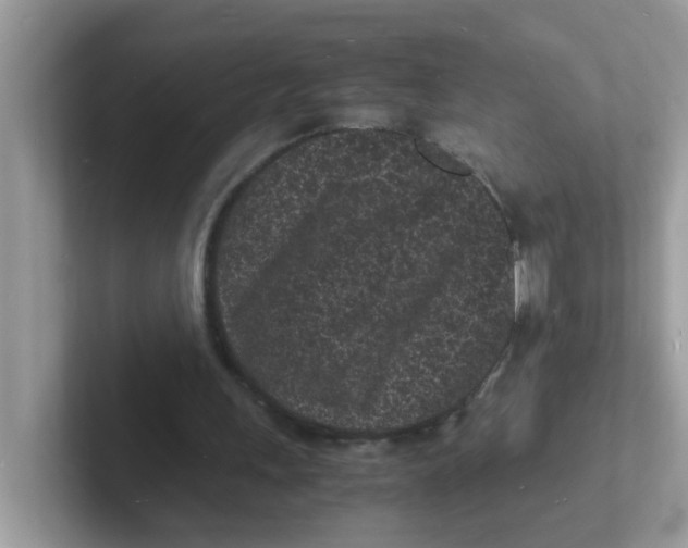 X0000101480243200807281045