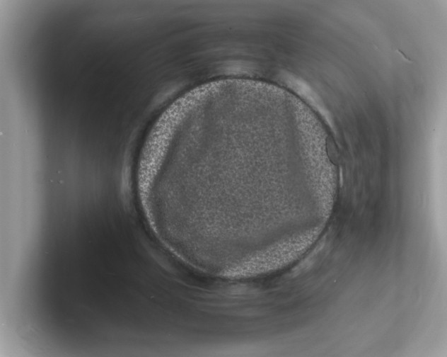 X0000101480249200807281045