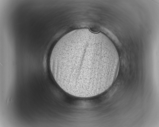 X0000101480250200807281045