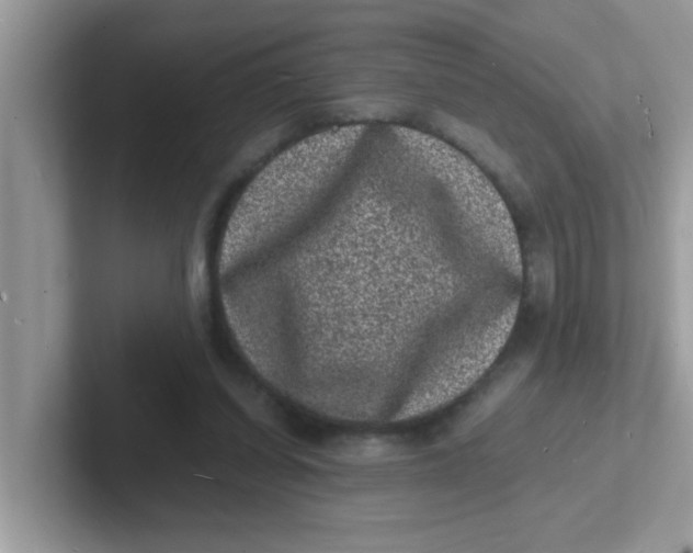 X0000101480254200807281045