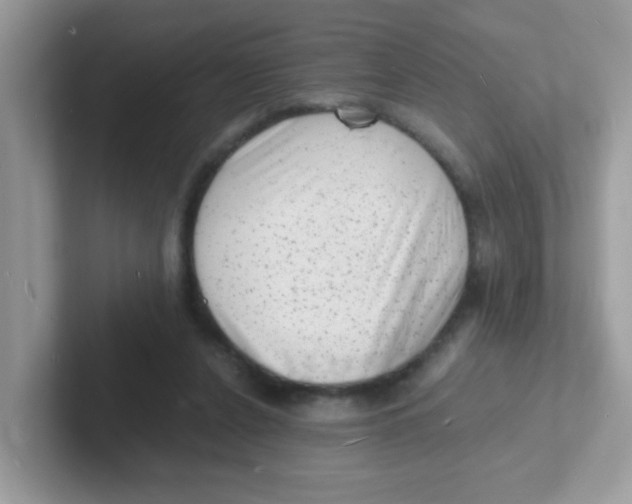 X0000101480256200807281045