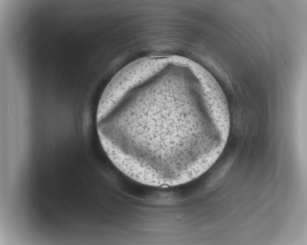 X0000101480260200807281045