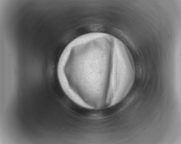 X0000101480263200807281045