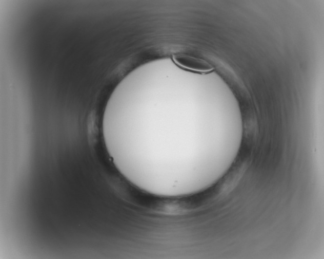 X0000101480264200807281045