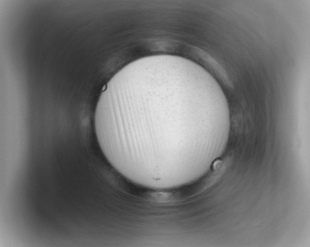 X0000101480265200807281045