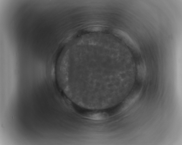 X0000101480267200807281045