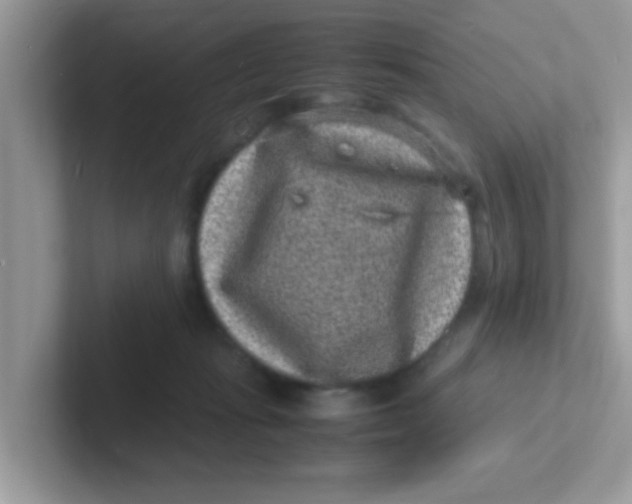 X0000101480269200807281045