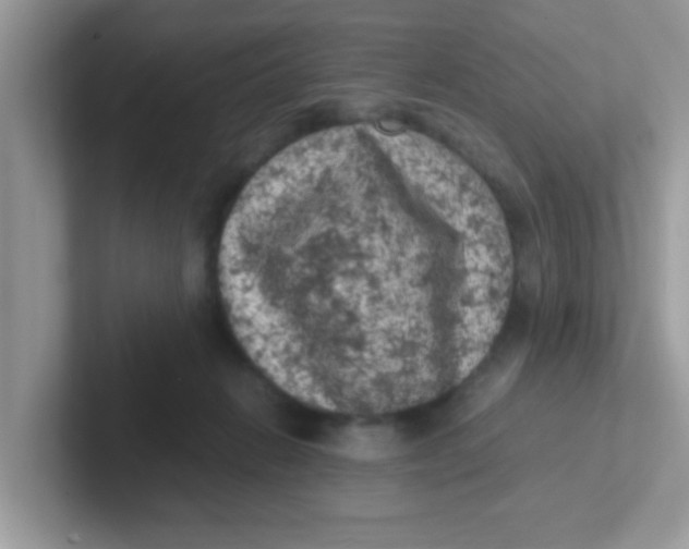 X0000101480270200807281045