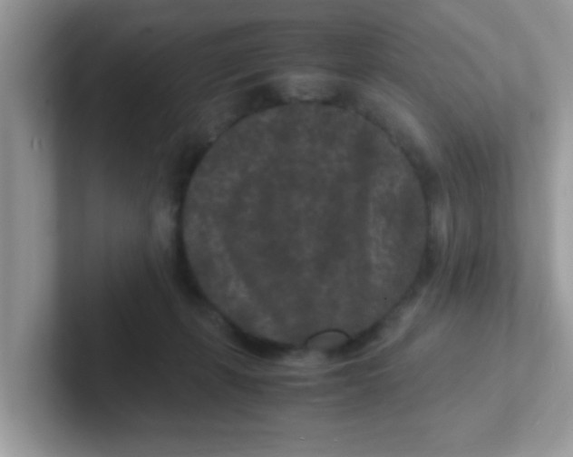 X0000101480271200807281045