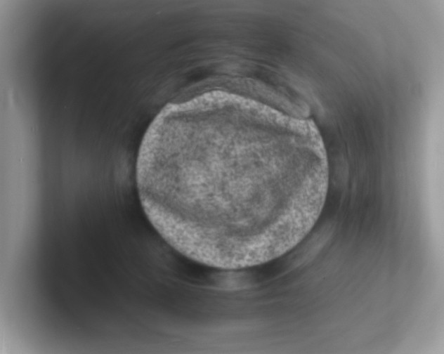 X0000101480273200807281045