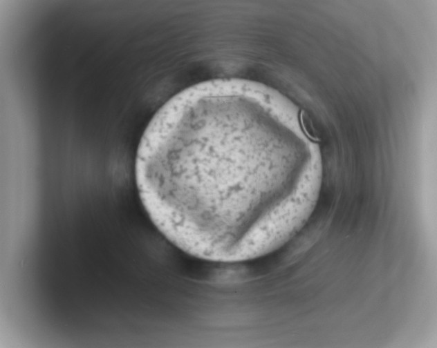 X0000101480274200807281045