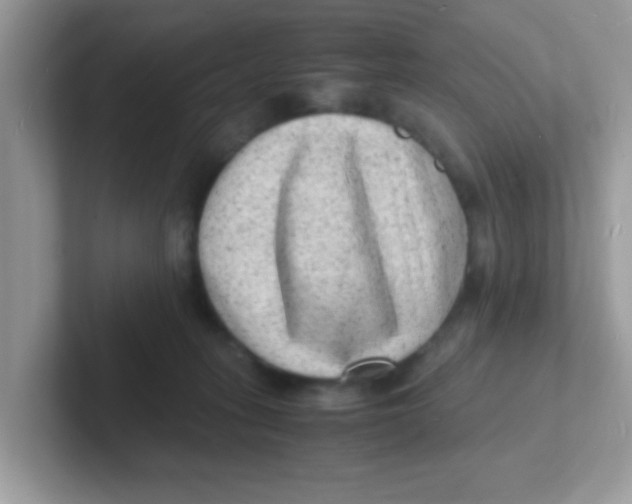 X0000101480275200807281045