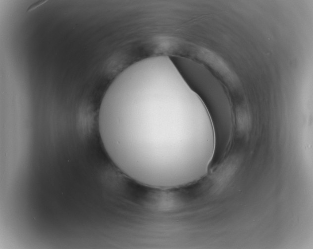 X0000101480276200807281045