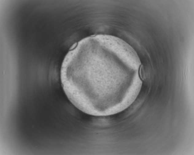 X0000101480282200807281045