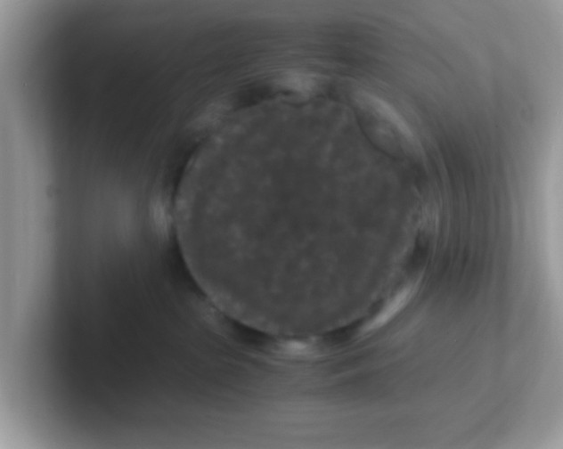 X0000101480285200807281045