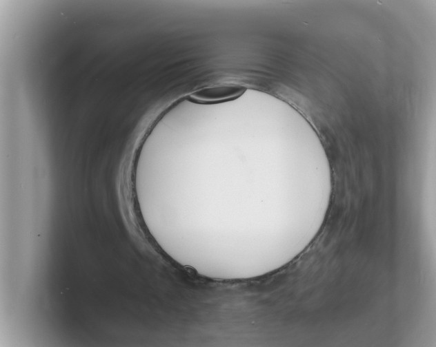 X0000101480289200807281045