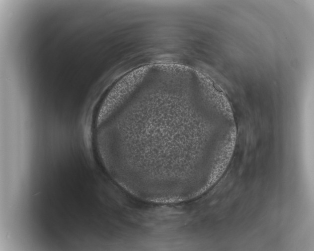 X0000101480290200807281045