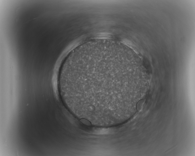 X0000101480293200807281045