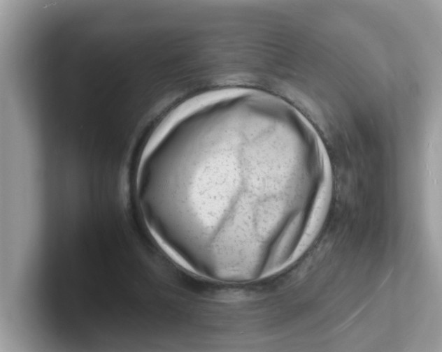 X0000101480298200807281045