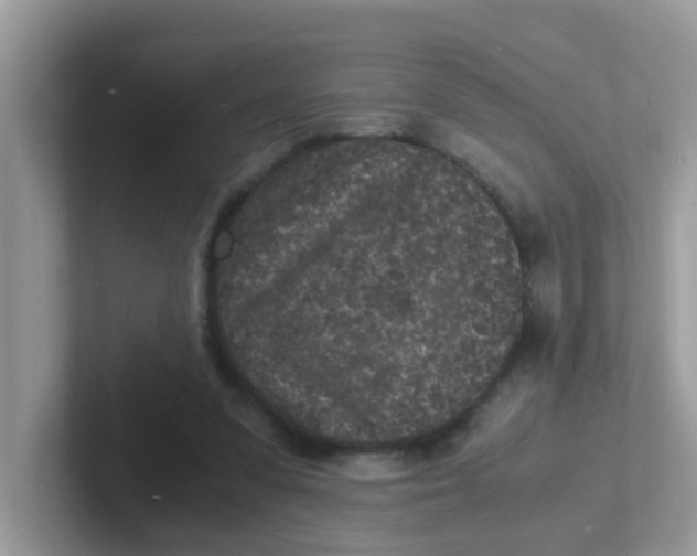 X0000101480303200807281045