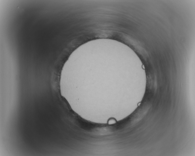 X0000101480307200807281045