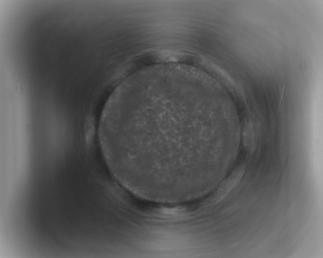 X0000101480314200807281045