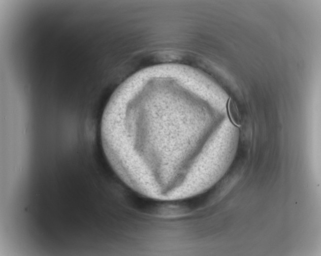 X0000101480315200807281045