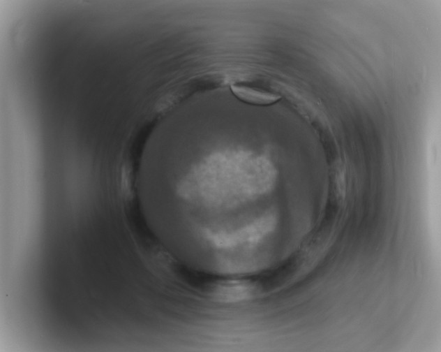 X0000101480316200807281045