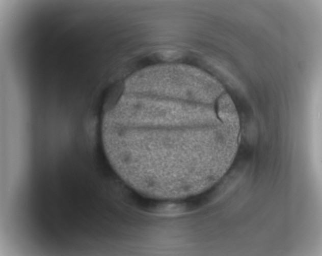 X0000101480319200807281044