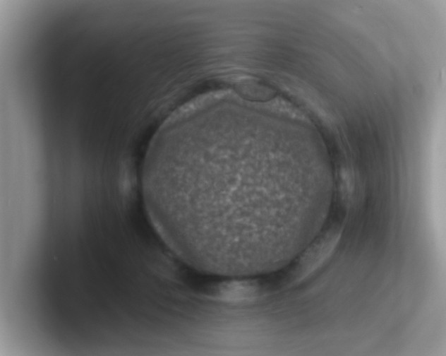 X0000101480320200807281044