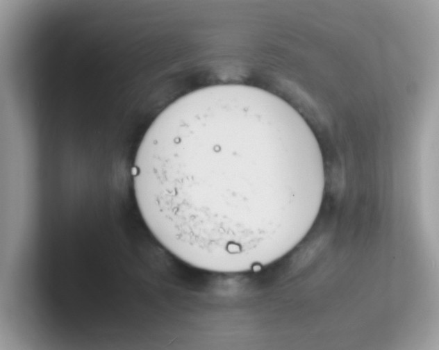 X0000101480321200807281044