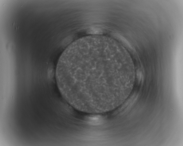 X0000101480322200807281044