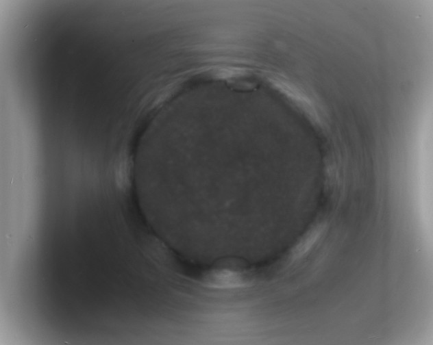 X0000101480325200807281044