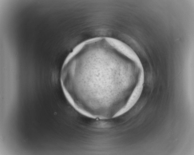 X0000101480326200807281044