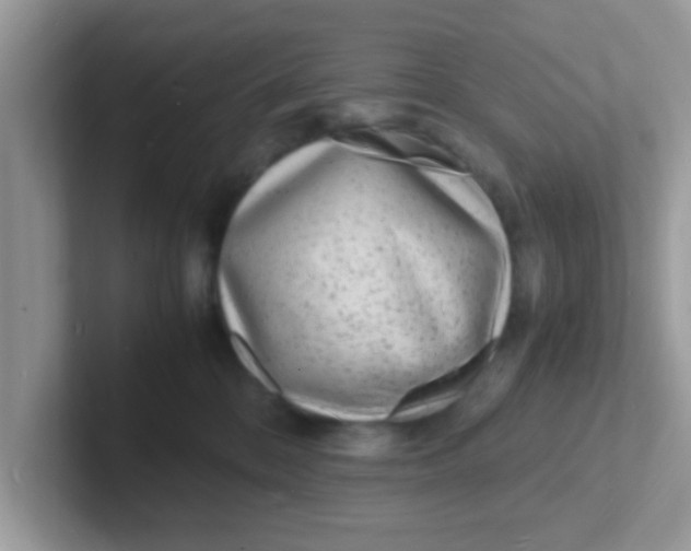 X0000101480328200807281044