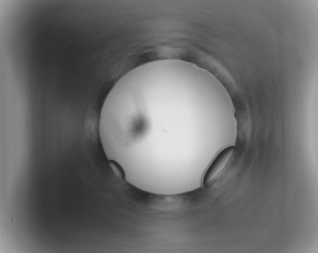 X0000101480329200807281044