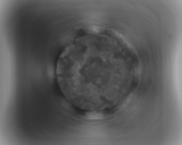 X0000101480331200807281044