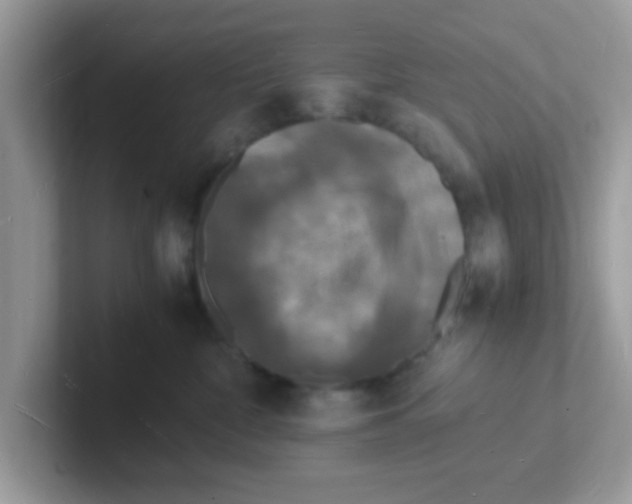 X0000101480332200807281044