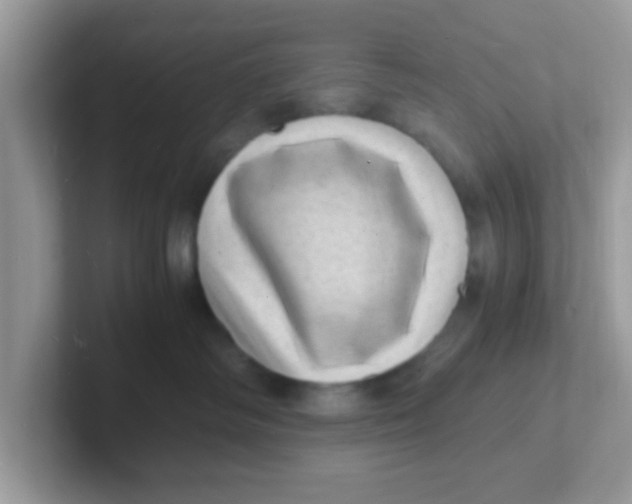 X0000101480334200807281044