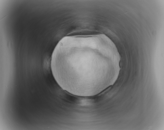 X0000101480336200807281044