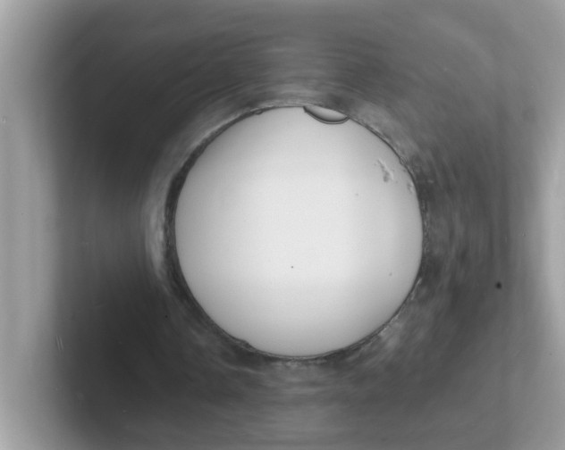 X0000101480338200807281044