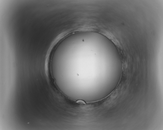 X0000101480340200807281044