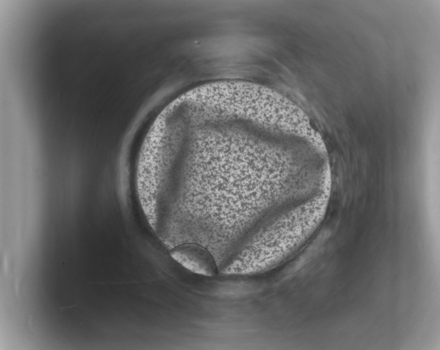 X0000101480342200807281044