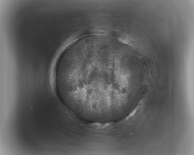 X0000101480343200807281044