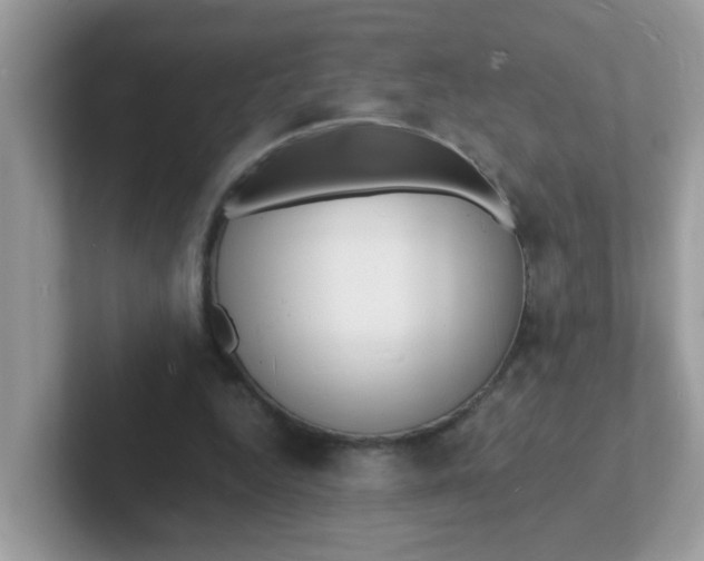 X0000101480344200807281044